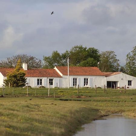 Maison De Charme Au Coeur Des Marais Pour 6 Pers. 布安 外观 照片
