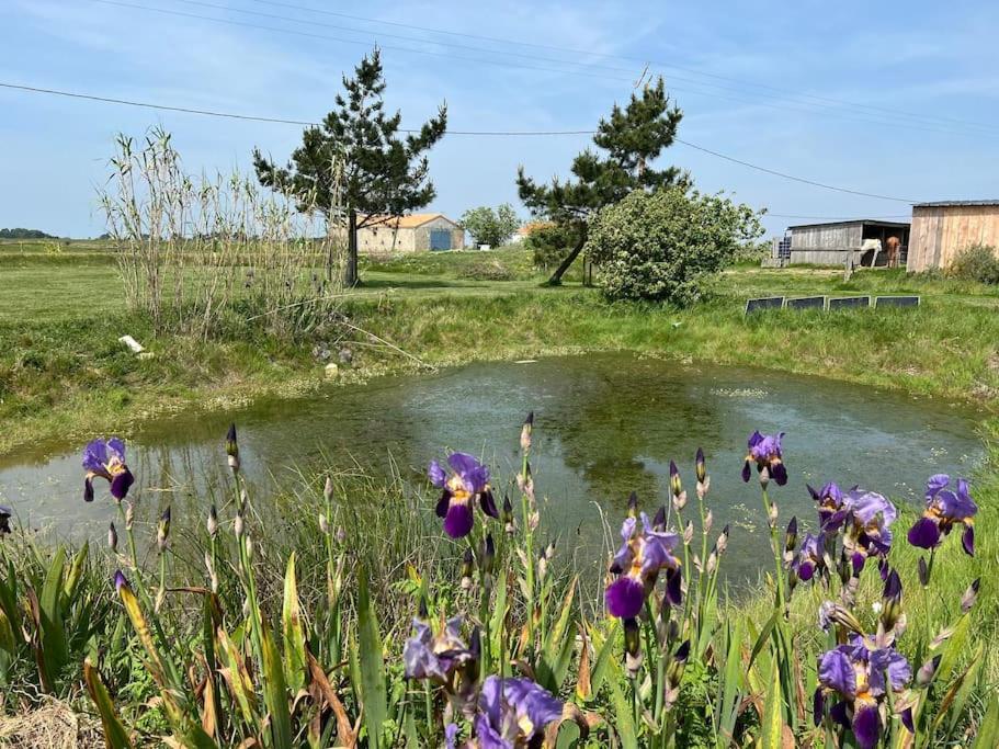Maison De Charme Au Coeur Des Marais Pour 6 Pers. 布安 外观 照片