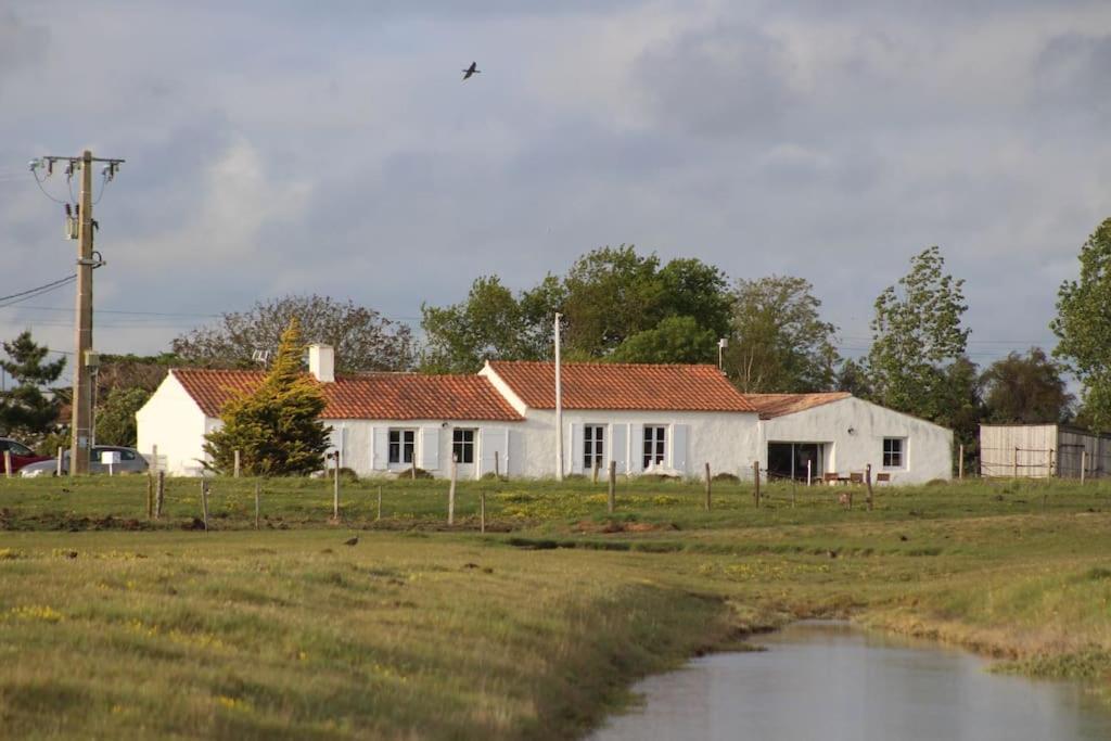 Maison De Charme Au Coeur Des Marais Pour 6 Pers. 布安 外观 照片